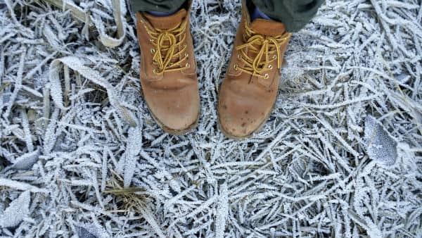 freezing temps can damge indoor plumbing disconnect outdoor hose 1