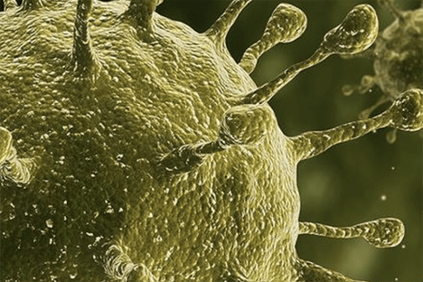 germs