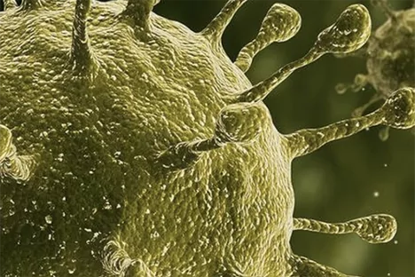 germs